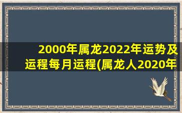 2000年属龙2022年运势及运程每月运程(属龙人2020年运势运程)