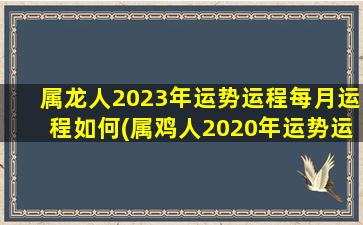 属龙人2023年运势运程每月运程如何(属鸡人2020年运势运程)