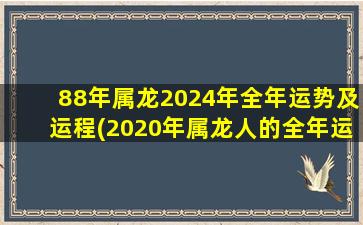 88年属龙2024年全年运势及运程(2020年属龙人的全年运势女)