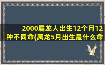 2000属龙人出生12个月12种