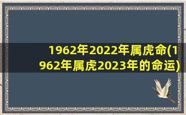 1962年2022年属虎命(1962年属虎2023年的命运)
