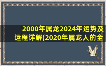 2000年属龙2024年运势及运