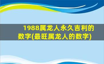 <strong>1988属龙人永久吉利的数</strong>