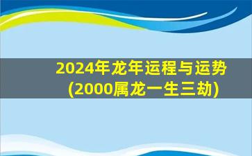 2024年龙年运程与运势(