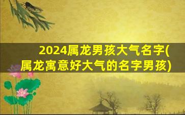 2024属龙男孩大气名字(属龙