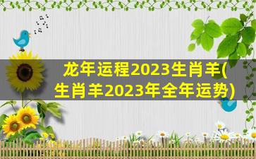 龙年运程2023生肖羊(生肖羊2023年全年运势)