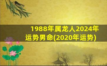 1988年属龙人2024年运势男命(2020年运势)