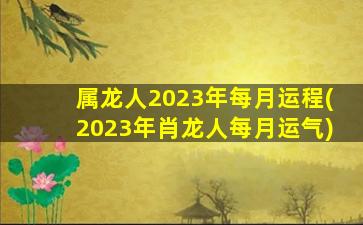 属龙人2023年每月运程(2023年肖龙人每月运气)