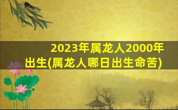 2023年属龙人2000年出生