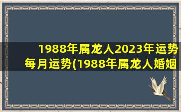 1988年属龙人2023年运势每月