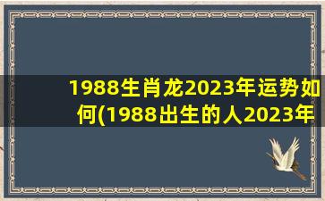 1988生肖龙2023年运势如何