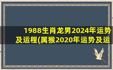 1988生肖龙男2024年运势及运程(属猴2020年运势及运程)
