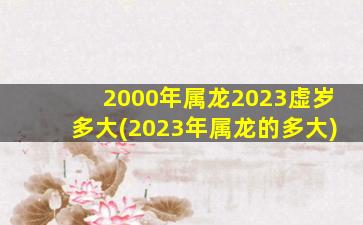2000年属龙2023虚岁多大(2023年属龙的多大)
