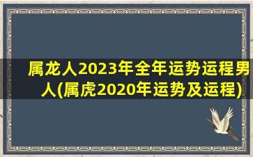 属龙人2023年全年运势运程男人(属虎2020年运势及运程)