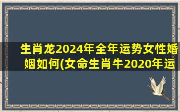 生肖龙2024年全年运势女性婚姻如何(女命生肖牛2020年运程)