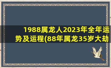 1988属龙人2023年全年运势