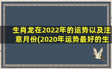 生肖龙在2022年的运势以及注意月份(2020年运势最好的生肖)
