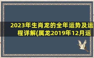 2023年生肖龙的全年运势及运程详解(属龙2019年12月运势)