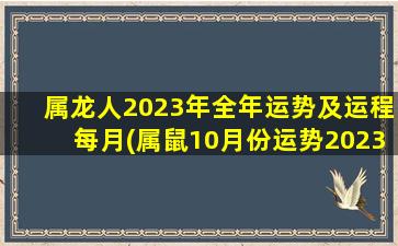 属龙人2023年全年运势及运程每月(属鼠10月份运势2023年)