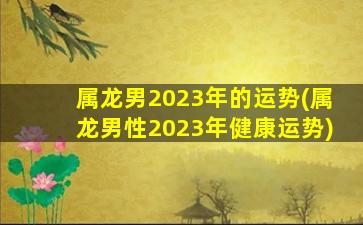 属龙男2023年的运势(属龙男