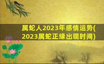 属蛇人2023年感情运势(