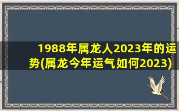 1988年属龙人2023年的运势