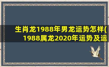 生肖龙1988年男龙运势怎样(1988属龙2020年运势及运程)