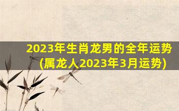 2023年生肖龙男的全年运势(属龙人2023年3月运势)