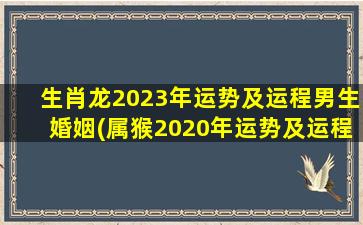 生肖龙2023年运势及运程男生婚姻(属猴2020年运势及运程)