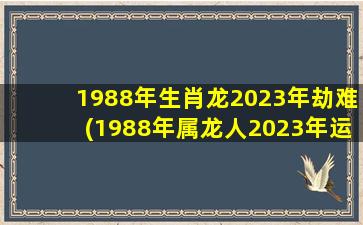 1988年生肖龙2023年劫难(1