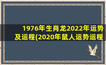1976年生肖龙2022年运势及运程(2020年鼠人运势运程)