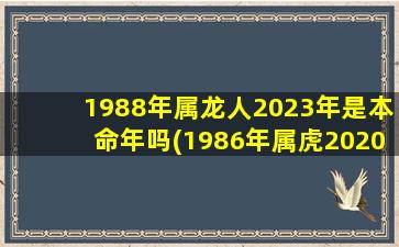 1988年属龙人2023年是本命年