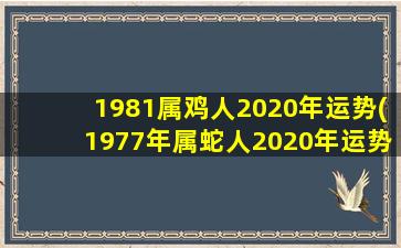 1981属鸡人2020年运势(19