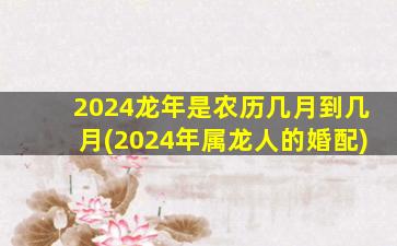 2024龙年是农历几月到几月