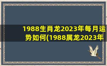 1988生肖龙2023年每月运势