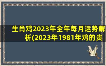 生肖鸡2023年全年每月运势解析(2023年1981年鸡的贵人)