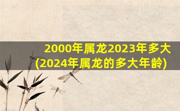 2000年属龙2023年多大(2024年