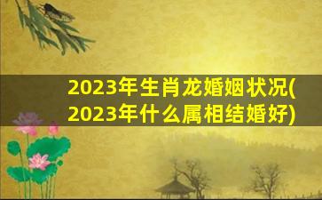2023年生肖龙婚姻状况(2023年什么属相结婚好)