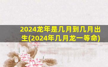 2024龙年是几月到几月出生