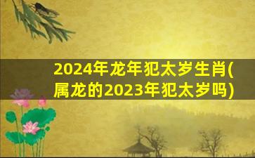 2024年龙年犯太岁生肖(属龙