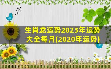 生肖龙运势2023年运势大全每月(2020年运势)