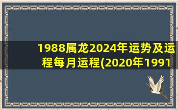 1988属龙2024年运势及运程