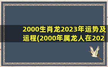 2000生肖龙2023年运势及运程(2000年属龙人在2022年的全年运势)