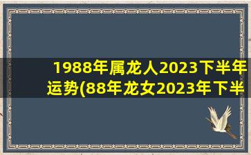 1988年属龙人2023下半年运