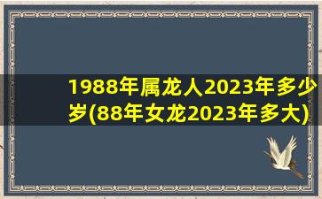 1988年属龙人2023年多少岁(88年女龙2023年多大)