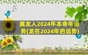 属龙人2024年本命年运势(龙在2024年的运势)