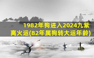 <strong>1982年狗进入2024九紫离火运</strong>