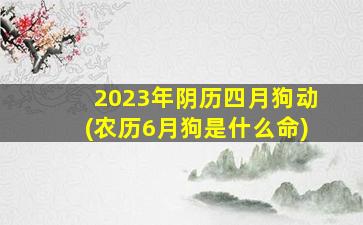 2023年阴历四月狗动(农历