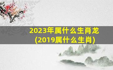2023年属什么生肖龙(2019属
