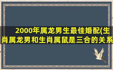 <strong>2000年属龙男生最佳婚配</strong>